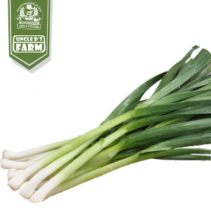 蒜苗 成都同城 蔬菜配送 新鲜蒜苗 清香配菜 自