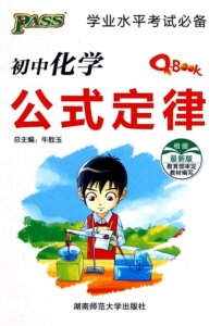版PASS初中化学公式定律 初中教辅Q-BOOK系