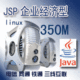 JSP企业经济型linux+350M总空间+100M邮局+50M数据库