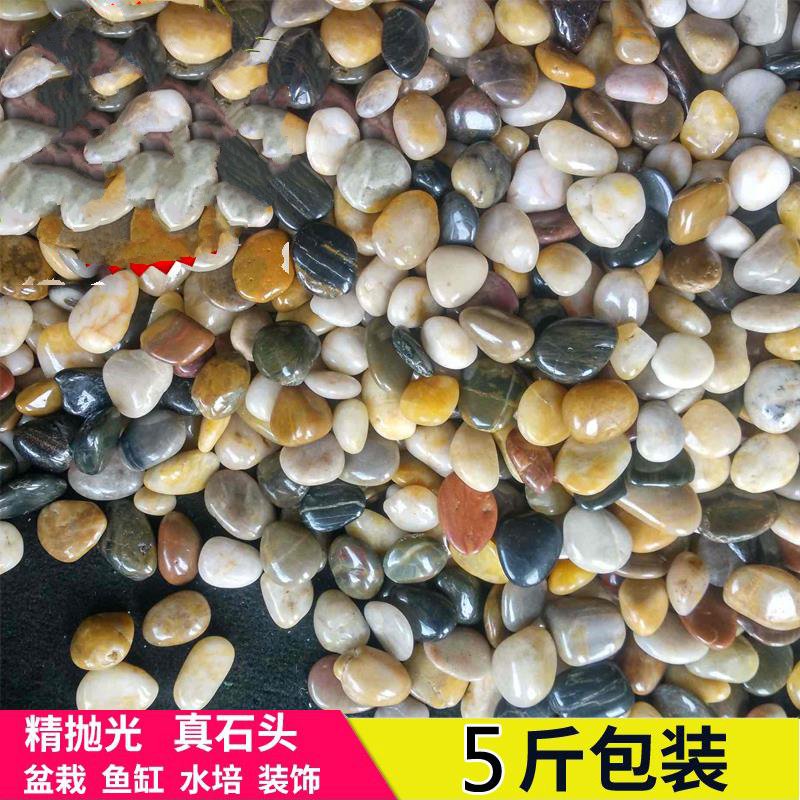 五彩石頭用花盆裝飾小盆栽客廳兒童景觀水族鵝卵石種花地面裝飾彩在類目 鮮花速遞/花卉仿真/綠植園藝, 園藝用品, 其它園藝用品中 - 來自Buy2taobao.com提供專業的淘寶代購服務