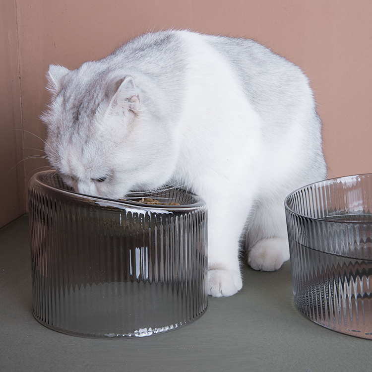 吃迷猫食盆猫碗水碗宠物碗 手工玻璃|msdalam kategori haiwan peliharaan/makanan haiwan dan bekalan, Cat/anjing harian, Bowl - dari Buy2taobao.com untuk memberikan perkhidmatan ejen Taobao profesional membeli