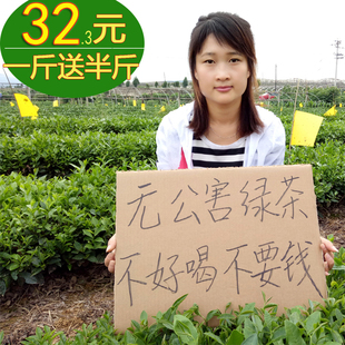 日照绿茶2023新茶春茶云雾茶，山东炒青高山茶叶礼盒散装500g浓香