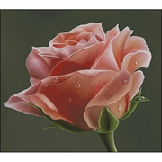 滴水粉玫瑰花卉 十字绣套件植物花卉 客厅卧室 精准印花