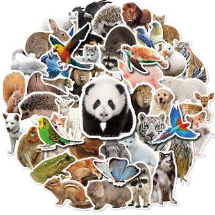 50张动物写实贴画亚马逊动物涂鸦贴纸不重复防水汽车贴纸
