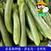 农家青瓜黄瓜 有机肥生态种植新鲜蔬菜配送500克 广东满88元