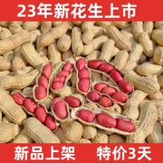 2023年新鲜农家自种红皮生花生带壳晒干花生米生新货原味四粒红