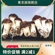 快递北京平谷新鲜赤松茸5斤/1斤 姬松茸新鲜菌菇