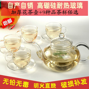 整套花茶茶具手工家用耐热玻璃水果花草，功夫茶具一壶多杯套装