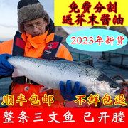 12-18斤条智利进口冷冻新鲜三文鱼整条三文鱼，刺身寿司生鱼片新货