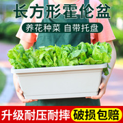 种菜盆阳台种菜盆长方形，花盆塑料长条花盆，家用种植盆种菜神器