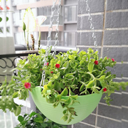 吊篮花盆绿箩盆壁挂式花盆塑料，花盆加厚耐用吊兰花盆