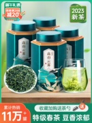 五虎高山云雾绿茶茶叶自己喝云雾茶新茶春茶炒青毛尖茶炒茶绿茶叶