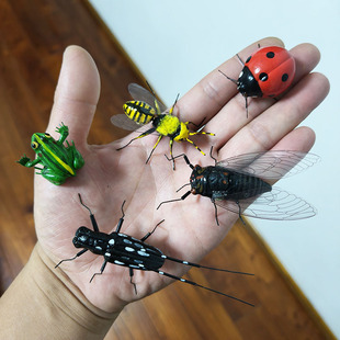 仿真昆虫子摆件青蛙七星瓢虫标本蜜蜂模型蝉动物工艺装饰拍摄道具