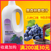 鲜活果汁黑森林高倍葡萄汁1:9浓缩葡萄饮料浓浆2.2kg奶茶原料