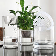 水培植物玻璃瓶透明直筒圆柱形花瓶简约绿萝白掌水养玻璃容器m