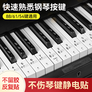 纳米钢琴键盘贴886154键通用电子琴，电钢琴初学儿童简谱音符贴纸
