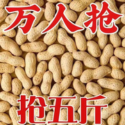 现炒红皮衣小粒龙岩花生，铁锅炒带壳，无盐袋装休闲零食下酒菜茶点