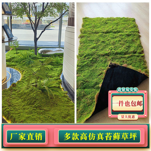 仿真苔藓草皮椰丝青苔橱窗微景观植物墙黄绿色假草坪地毯绿植造景