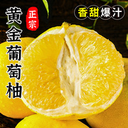 胡鲜森黄金爆汁葡萄柚2-8斤柚子新鲜水果当季黄心蜜柚整箱包