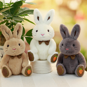 可爱兔子毛绒玩具小白兔玩偶布娃娃儿童女生安抚灰色兔兔公仔礼物