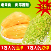 海南黄肉菠萝蜜带箱23-25斤新鲜水果波罗蜜木菠萝蜜。