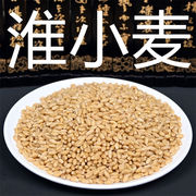 淮小麦 500g克散装怀小麦中药材 甘麦大枣汤料另售浮小麦大枣甘草