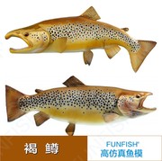 高仿真(高仿真)鱼淡水鱼鳟鱼模型挂件，树脂高仿真(高仿真)鱼模型壁饰鱼装饰褐鳟