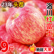 洛川红富士苹果水果，新鲜应当季整箱10斤陕西冰，糖心丑平安果