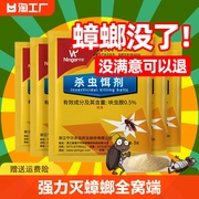 灭蟑螂药一锅端家用非无毒厨房饭店强力小强屋贴全窝端诱饵剂