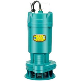 潜水泵220v家用小型抽水机高扬程井水农O用灌溉污水泵抽粪泥浆