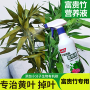 富贵竹营养液盆栽植物转运竹，观音竹水培养花肥料，通用一喷绿营养液
