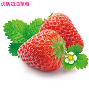 四季结果草莓种子套餐 红白黑蓝家庭盆栽 阳台水果蔬菜籽 50粒装