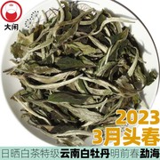 云南白牡丹日晒白茶特级3月明前春香甜纯鲜爽勐海散茶大闲茶叶