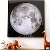 月球拼图框1000eeboo立体实木地球，女权500片月亮圆形异形拼图相框