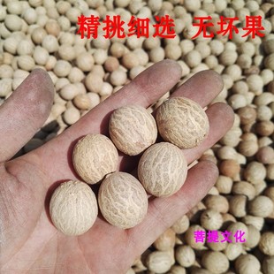 白玉菩提根菩提子白果，原果直径11-30mm菩提，根大果原料论斤卖