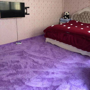 家用地毯卧室满铺可爱床边长毛绒，客厅茶几毯室内全铺房间大块地垫