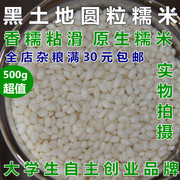 2019年地道东北黑龙江特产，自家糯米江米粘米黏大米，包粽子500g