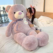 大熊泰迪熊猫毛绒玩具抱枕，公仔娃娃睡觉抱抱熊特大号玩偶女生女孩