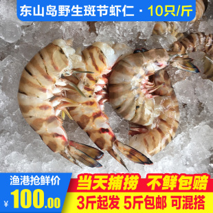 东山岛野生海鲜海捕斑节虾九节虾肉新鲜虾仁纯虾肉鲜冻鲜活礼盒