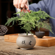 创意个性紫砂茶宠摆件迷你花器花瓶水培植物花插茶桌装饰茶具配件
