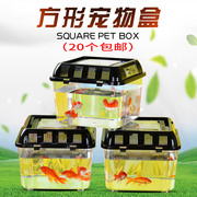 透明封闭式家用斗鱼运输盒  塑料鱼缸 乌龟盒 龟缸 金鱼缸 宠物盒