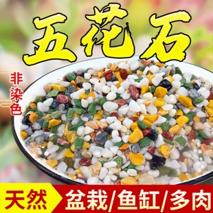 天然彩石多肉盆栽铺面石子，鹅卵石鱼缸造景，底砂种花装饰五彩小石头