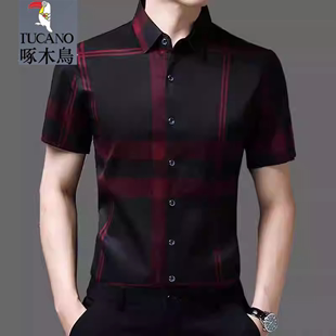 啄木鸟夏季短袖衬衫，男装中青年商务格子丝光棉，免烫半袖衬衣