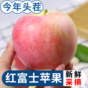 山西脆甜红富士苹果水果新鲜当季水果丑苹果整箱，嘎啦现季带10十