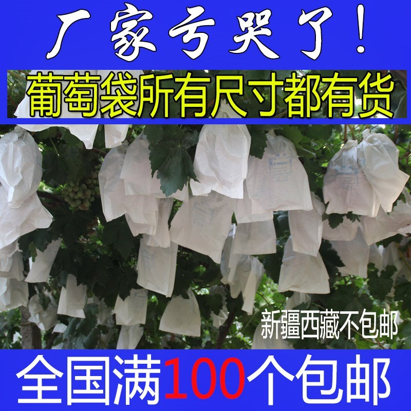 果树防纸透气果林农用防虫包家用防鸟袋子便携果袋套袋葡萄专用套在类目 鲜花速递/花卉仿真/绿植园艺, 园艺用品, 其它园艺用品中 - 来自Buy2taobao.com提供专业的淘宝代购服务