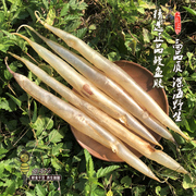 嗨动力野生深海鳗鱼胶 麻鱼胶 鳝肚鱼鳔干货深海孕妇花胶250g