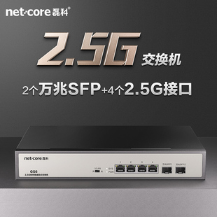 netcore磊科48口2.5g交换机2个10g万兆，sfp光口支持向下兼容千兆，家用安防监控网线分流器即插即用gs6