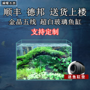 金晶五线超白缸玻璃定制大小型水族鱼缸客厅造景水草缸乌龟缸