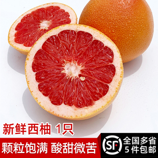 新鲜西柚 1只装 红心葡萄柚柚子 当季时令水果 5件