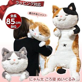 日本正版shiba橘猫公仔猫咪，老师毛绒玩具床上懒人，抱枕男女生礼物